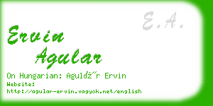 ervin agular business card